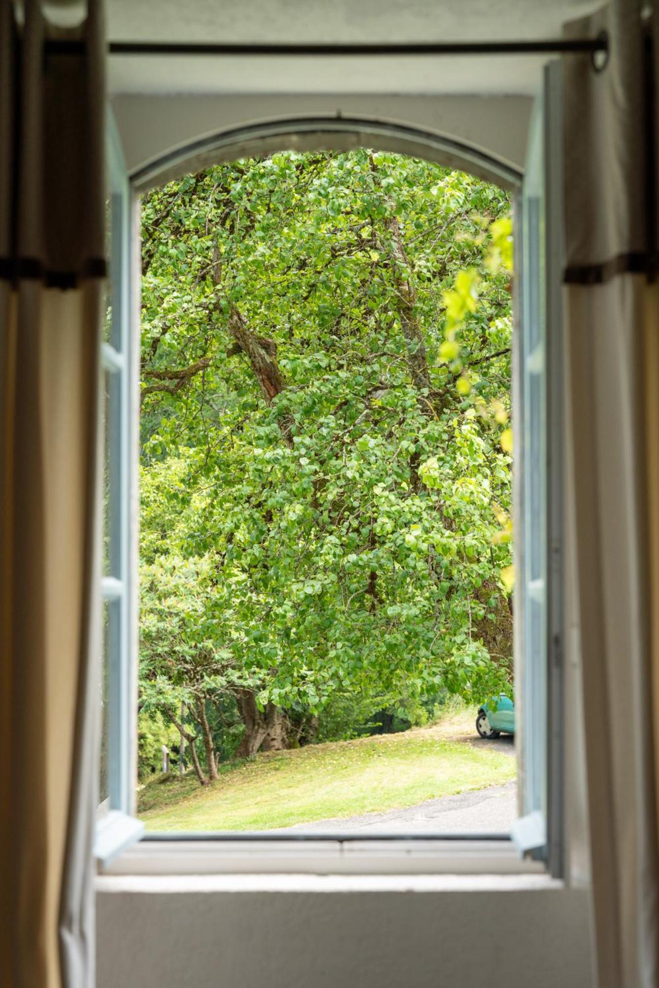 Domaine De Ramonjuan Hotel Bagnères-de-Bigorre Екстериор снимка